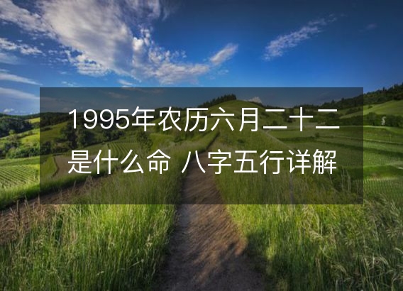 1995年农历六月二十二是什么命 八字五行详解