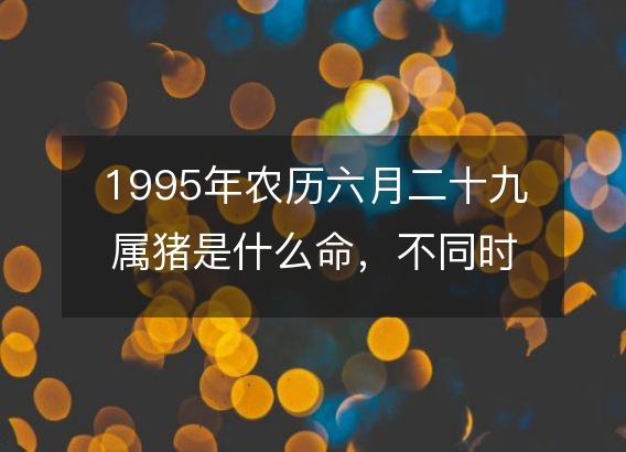 1995年农历六月二十九属猪是什么命，不同时辰八字五行查询