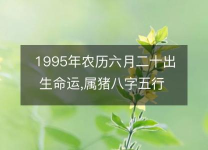 1995年农历六月二十出生命运,属猪八字五行 婚姻感情解析