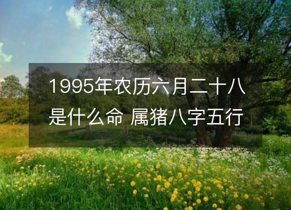 1995年农历六月二十八是什么命 属猪八字五行 婚姻事业详解