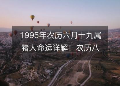 1995年农历六月十九属猪人命运详解！农历八字五行缺什么 婚姻事业