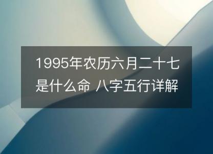 1995年农历六月二十七是什么命 八字五行详解