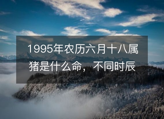 1995年农历六月十八属猪是什么命，不同时辰八字五行查询