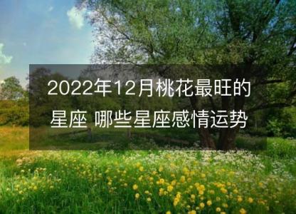 2022年12月桃花最旺的星座 哪些星座感情运势红火