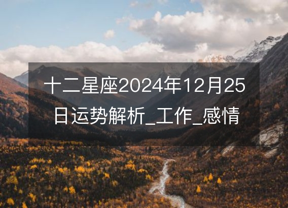 十二星座2024年12月25日运势解析_工作_感情_财运