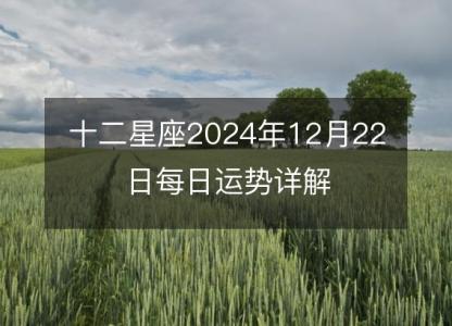 十二星座2024年12月22日每日运势详解