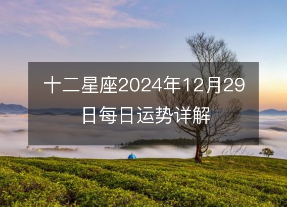 十二星座2024年12月29日每日运势详解