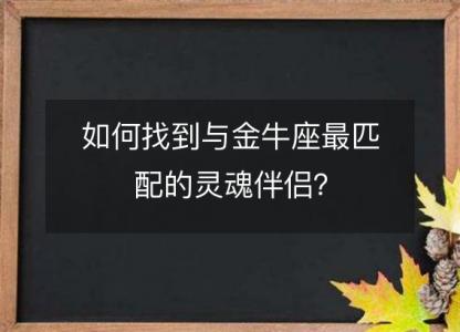 如何找到与金牛座最匹配的灵魂伴侣？