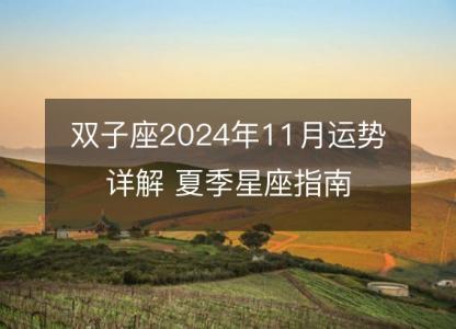 双子座2024年11月运势详解 夏季星座指南