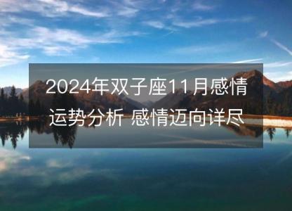 2024年双子座11月感情运势分析 感情迈向详尽测算