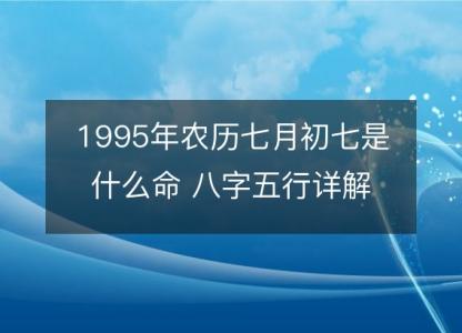 1995年农历七月初七是什么命 八字五行详解