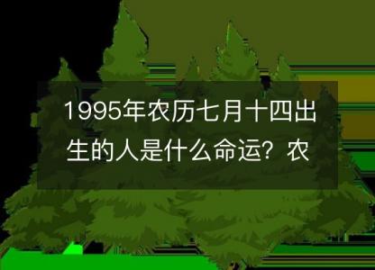 1995年农历七月十四出生的人是什么命运？农历生辰八字,事业,五行解析