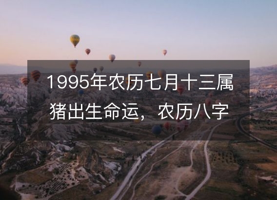 1995年农历七月十三属猪出生命运，农历八字五行缺不缺 性格特点