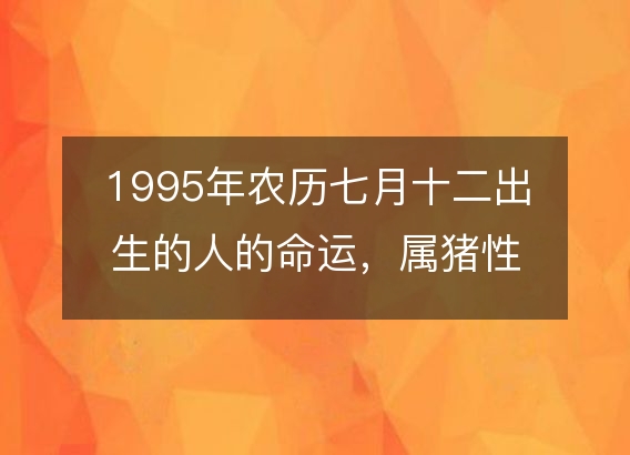 1995年农历七月十二出生的人的命运，属猪性格特点 八字五行