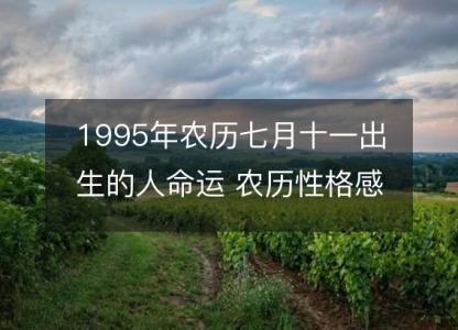 1995年农历七月十一出生的人命运 农历性格感情，事业财运详解