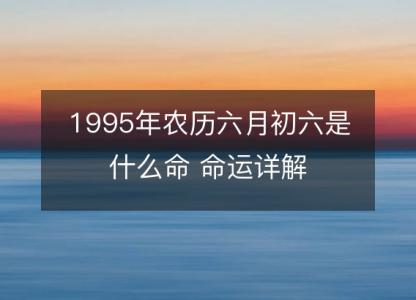 1995年农历六月初六是什么命 命运详解