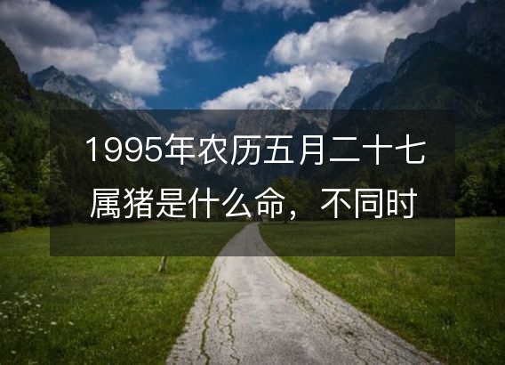 1995年农历五月二十七属猪是什么命，不同时辰八字五行查询