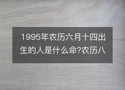 1995年农历六月十四出生的人是什么命?农历八字五行 事业财运分析