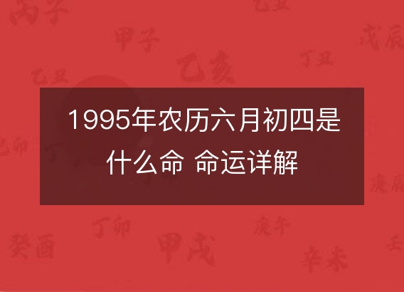 1995年农历六月初四是什么命 命运详解