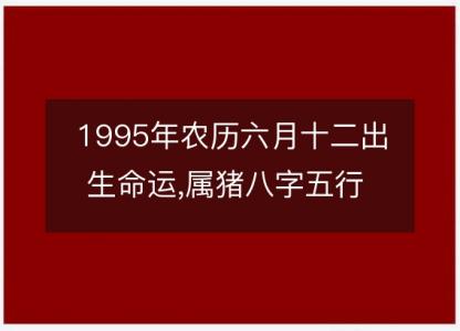 1995年农历六月十二出生命运,属猪八字五行 婚姻感情解析