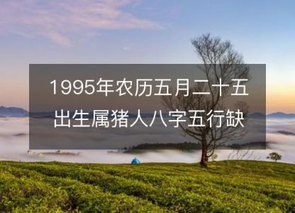 1995年农历五月二十五出生属猪人八字五行缺吗？命运、婚姻、性格、事业财运！