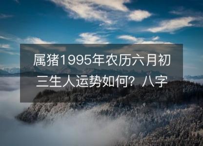 属猪1995年农历六月初三生人运势如何？八字命运五行缺吗！性格详解