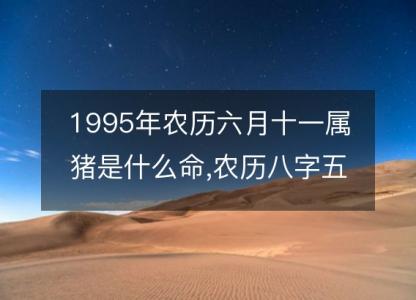 1995年农历六月十一属猪是什么命,农历八字五行缺不缺,姻缘解析