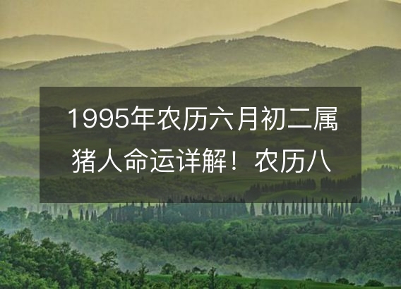 1995年农历六月初二属猪人命运详解！农历八字五行缺什么 婚姻事业