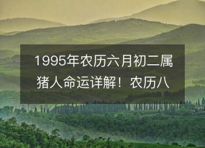 1995年农历六月初二属猪人命运详解！农历八字五行缺什么 婚姻事业