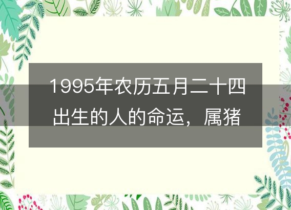 1995年农历五月二十四出生的人的命运，属猪性格特点 八字五行