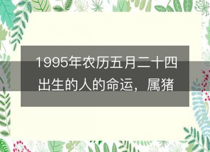 1995年农历五月二十四出生的人的命运，属猪性格特点 八字五行