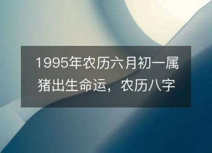 1995年农历六月初一属猪出生命运，农历八字五行缺不缺 性格特点