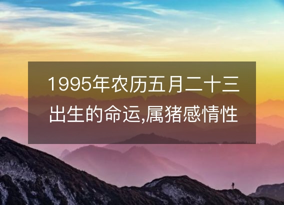 1995年农历五月二十三出生的命运,属猪感情性格 事业财运