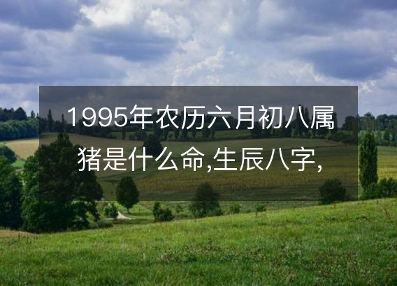 1995年农历六月初八属猪是什么命,生辰八字,五行,命运解析