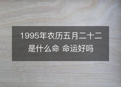 1995年农历五月二十二是什么命 命运好吗