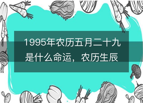 1995年农历五月二十九是什么命运，农历生辰八字五行缺吗 事业婚姻