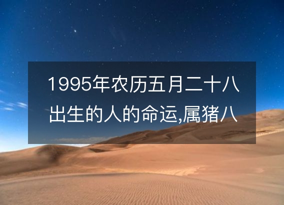 1995年农历五月二十八出生的人的命运,属猪八字五行 性格特点