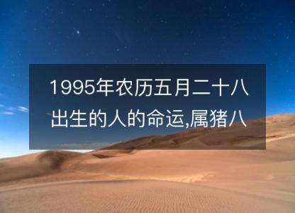 1995年农历五月二十八出生的人的命运,属猪八字五行 性格特点