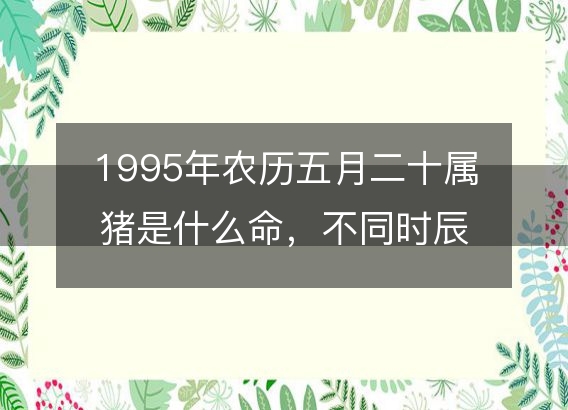 1995年农历五月二十属猪是什么命，不同时辰八字五行查询