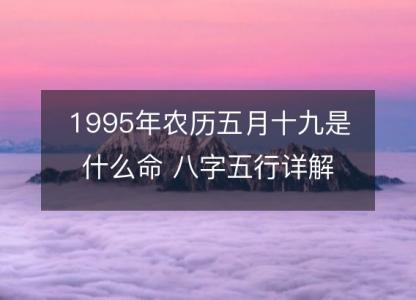 1995年农历五月十九是什么命 八字五行详解