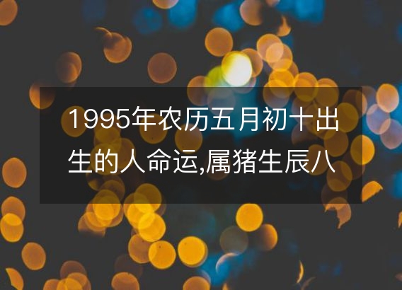 1995年农历五月初十出生的人命运,属猪生辰八字运势 五行查询