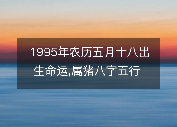 1995年农历五月十八出生命运,属猪八字五行 婚姻感情解析