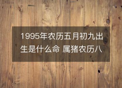 1995年农历五月初九出生是什么命 属猪农历八字五行解析  性格特点