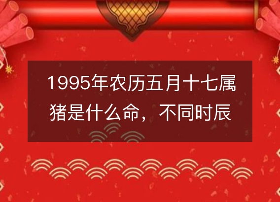 1995年农历五月十七属猪是什么命，不同时辰八字五行查询