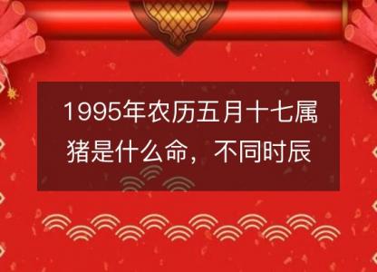 1995年农历五月十七属猪是什么命，不同时辰八字五行查询