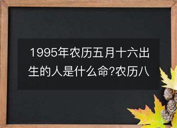 1995年农历五月十六出生的人是什么命?农历八字五行 事业财运分析