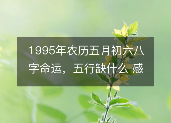 1995年农历五月初六八字命运，五行缺什么 感情婚姻、性格、事业财运