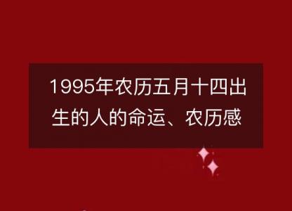 1995年农历五月十四出生的人的命运、农历感情婚姻、性格、事业财运