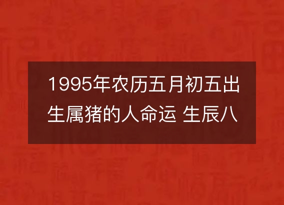 1995年农历五月初五出生属猪的人命运 生辰八字五行 事业财运详解