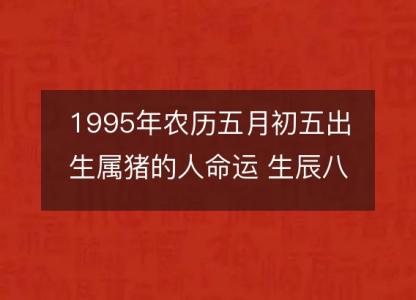 1995年农历五月初五出生属猪的人命运 生辰八字五行 事业财运详解